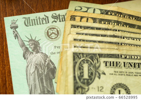 United States Internal Revenue Service, IRS, Check 66528995