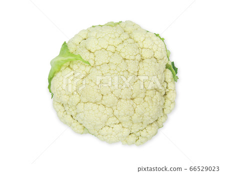 One head fresh organic white cauliflower on white One head fresh organic white cauliflower on white 66529023