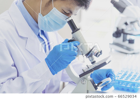 Scientist covid-19 virus antibody sample in 66529034