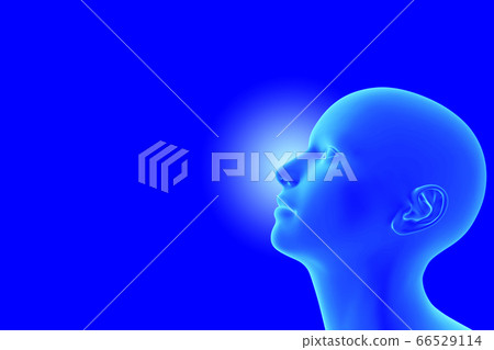 Respiration 66529114