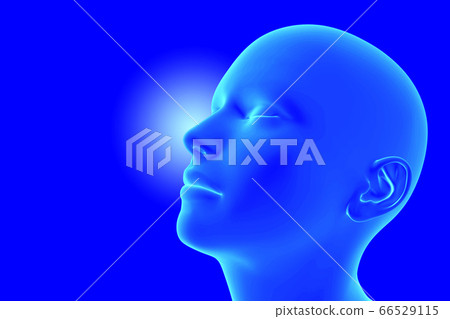 鼻呼吸 鼻呼吸 66529115