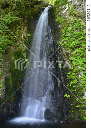 [Takayama City, Gifu Prefecture] Utsue 48 Waterfalls and Choshiguchi Waterfalls 66529142