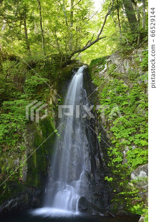 [岐阜縣高山市] Utsue 48瀑布和Ch口瀑布 66529144