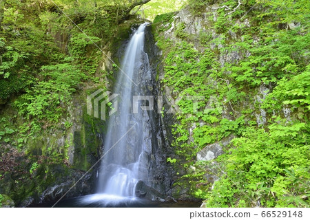 [Takayama City, Gifu Prefecture] Utsue 48 Waterfalls and Choshiguchi Waterfalls 66529148