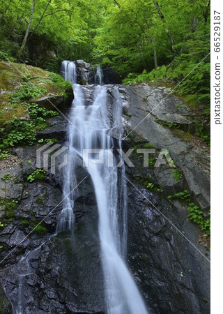 [岐阜縣高山市] Utsue 48瀑布/函館市 66529187