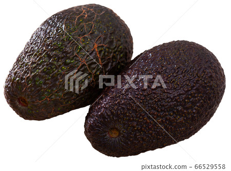 Two Hass avocados 66529558