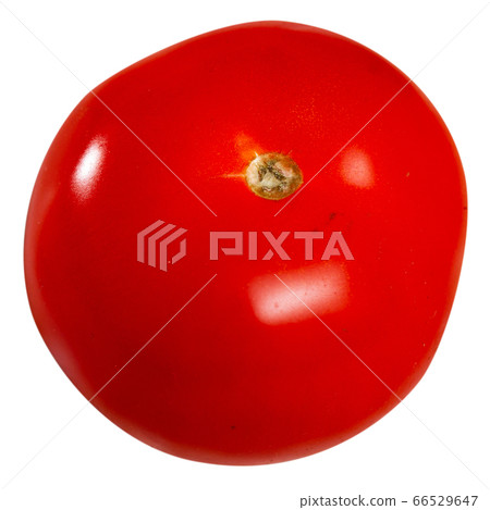 Close up of ripe red tomato 66529647