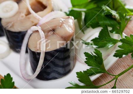 Sliced lightly salted mackerel fish served with onion and greens 66529702