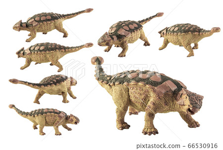 Ankylosaurus , dinosaur on white background 66530916