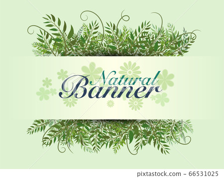Natural banner template Natural banner template 66531025