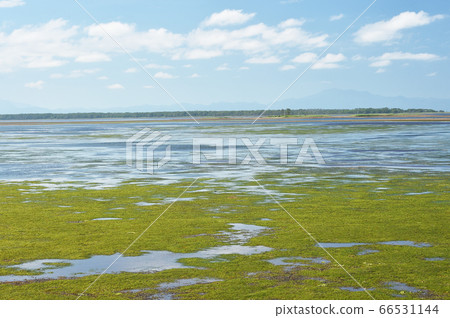 夏季（北海道）Notsuke半島的風景 66531144