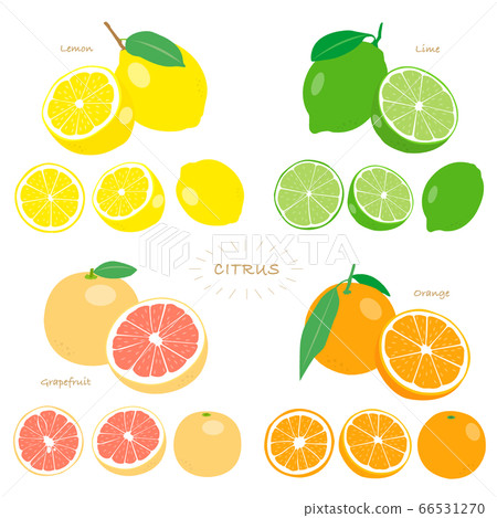 citrus, fruit, fruits 66531270