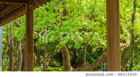 故宮博物院至善園 国立故宮博物院至善園 Taipei National Palace Museum 66531459
