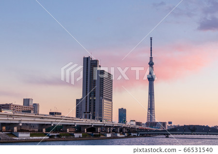 東京天空樹在夕陽下變成橙色 66531540