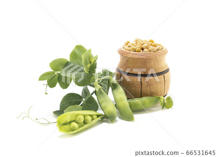 Dried peas in a wooden barrel and pods on a white Dried peas in a wooden barrel and pods on a white 66531645