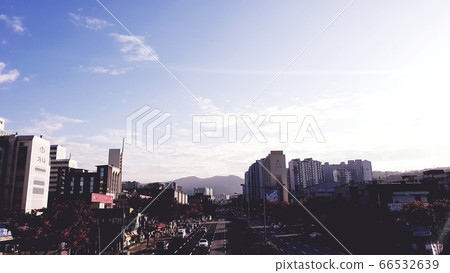 Morning walk Morning walk 66532639