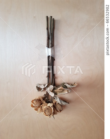 使用乾花的室內照片 使用乾花的室內照片 66532982