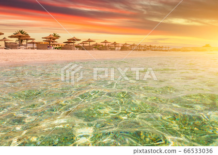 Sunset at the beach with palm trees, parasols and sunbeds. Sunset at the beach with palm trees, parasols and sunbeds. 66533036