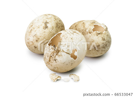 Broken dirty egg Broken dirty egg 66533047