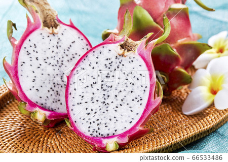 龍果火龍果 龍果火龍果 66533486