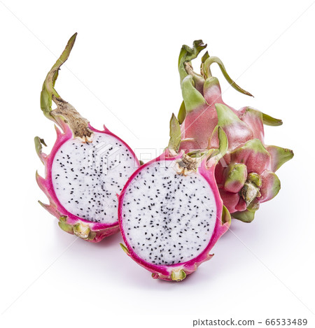 龍果火龍果 龍果火龍果 66533489