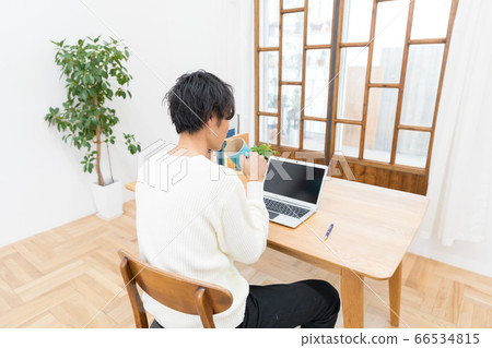 遠程辦公 66534815