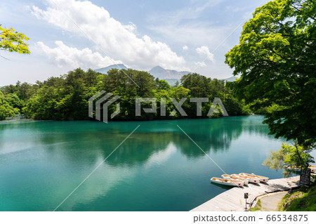 福島縣北尾原村初夏的Bishamonnuma（Goshikinuma）風景，新鮮的綠化植物和Bandaisan 66534875
