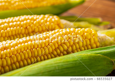 玉米 玉蜀黍 蔬菜 66535027