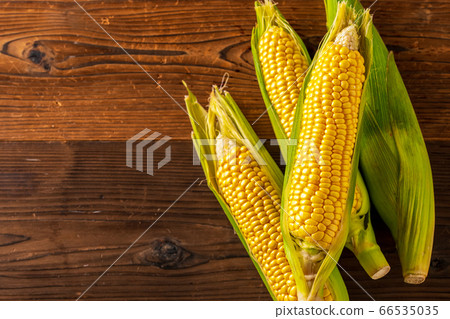 corn, corns, vegetables 66535035
