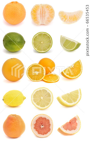 Citrus fruit collection Citrus fruit collection 66535453