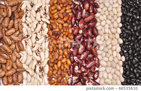 Beans background 66535610