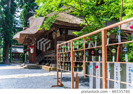 初夏的熊野神社(熊野大社),山形縣南陽市的禮堂和風鈴裝飾 初夏的熊野神社(熊野大社),山形縣南陽市的禮堂和風鈴裝飾 66535780