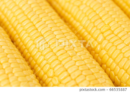 Corn Corn 66535887