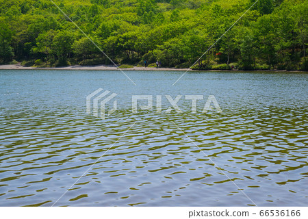 Mount Akagi and Onuma in early summer [Gunma Prefecture] 66536166
