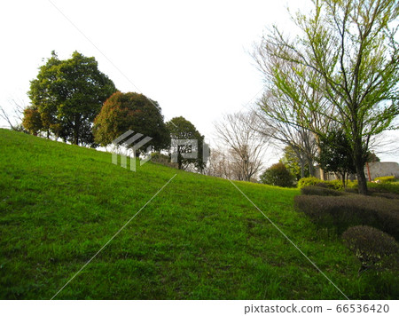 Sloping square in the park 66536420