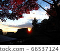 Silhouettes of shrines and kagura halls, autumn leaves and the evening sky 66537124