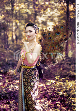 woman in traditional asian dresses woman in traditional asian dresses 66537681