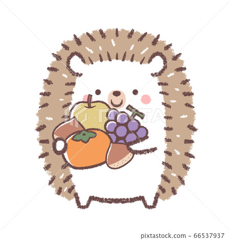 Hedgehog and the taste of autumn 66537937