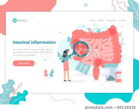 Intestinal inflammation medical web page Intestinal inflammation medical web page 66538836