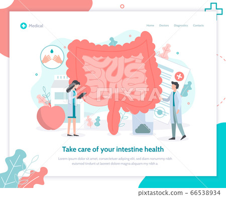Intestine health medical web page Intestine health medical web page 66538934