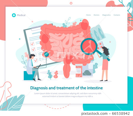Intestine health medical landing page Intestine health medical landing page 66538942