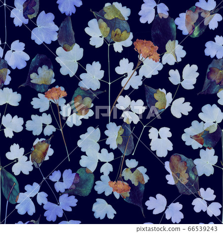 Seamless floral pattern with wild flowers on navy blue background 66539243