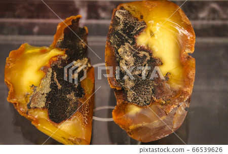 Fragments of amber close-up. Natural unpolished Fragments of amber close-up. Natural unpolished 66539626
