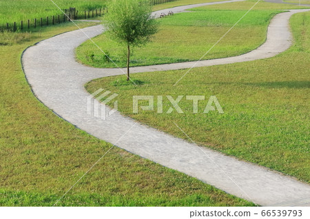 Image of forked road 66539793