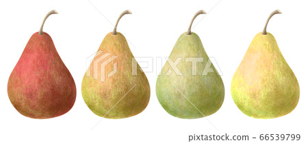 Colorful pears Colorful pears 66539799