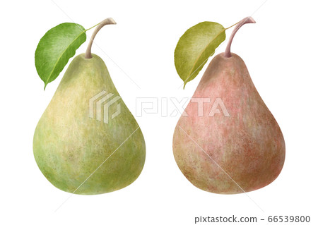 Two-color pears 66539800