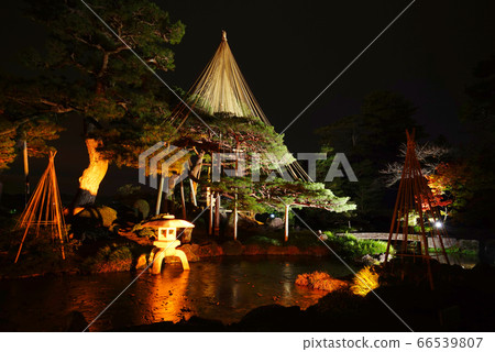 Kenrokuen Light-up, Kanazawa, Ishikawa Prefecture, Japan Kenrokuen Light-up, Kanazawa, Ishikawa Prefecture, Japan 66539807