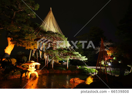 Kenrokuen Light-up, Kanazawa, Ishikawa Prefecture, Japan Kenrokuen Light-up, Kanazawa, Ishikawa Prefecture, Japan 66539808