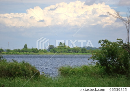 Scenery of Teganuma, Abiko City Scenery of Teganuma, Abiko City 66539835