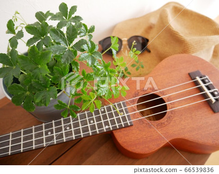 Ukulele Practice Ukulele Practice 66539836